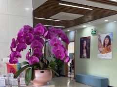 -茂菊口腔连锁(浦东南路店)