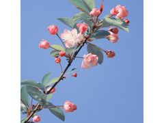 -龙虾奇迹泥炉烤肉(大华三路店)