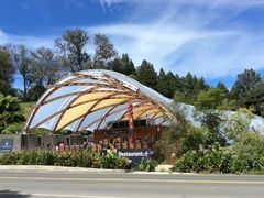 -怀托摩萤火虫洞