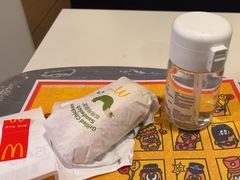 -麦当劳(金平路站店)