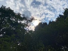 -广州兰圃