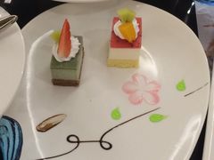 -新君悦国际酒店