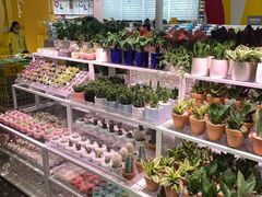 -KKV(东莞海德汇一城店)