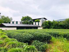 -九里云松·天香餐厅