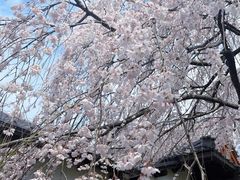 -醍醐寺