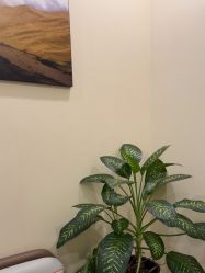 -北京米扬丽格医疗美容·联合丽格鼻整形中心