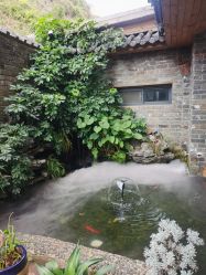 -至简医疗美容·医生集团