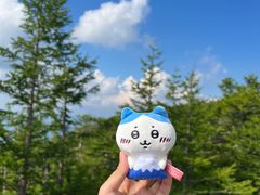 -富士山吉田線五合目
