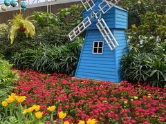 -南宫五洲植物乐园