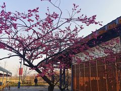 -嘉北郊野公园