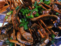 鳝鱼-晓靖轩烧烤(沙河风情店)