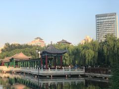 -莲花池公园