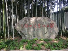 -上海醉白池公园