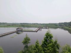 -溱湖国家湿地公园
