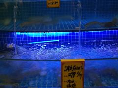-驻海渔市(置信店)