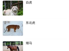 -哈尔滨北方森林动物园