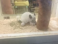 -龙猫仔乐园(惠福东路店)