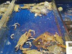 -高佳庄·舟山海鲜(海景旗舰店)