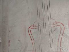 -大树装饰·十年本土家装