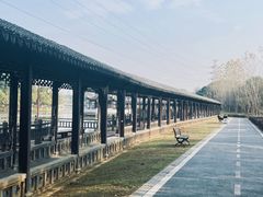 -八大山人梅湖景区