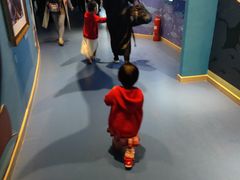 -烟台海昌鲸鲨海洋公园