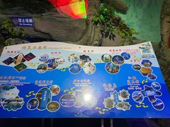 -蓬莱欧乐堡海洋极地世界
