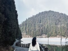 -武陵山森林公园