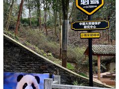 -中国大熊猫保护研究中心雅安碧峰峡基地
