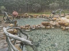-龙佳生态温泉山庄