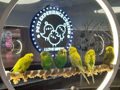 -新奥购物中心