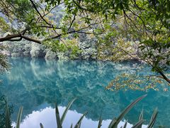 -鼎湖山风景区