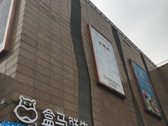 门面-盒马鲜生(大成店)
