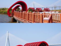-芒洲湿地公园
