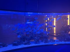 -上和臻品中国菜(花园街店)