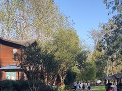 -合肥滨湖国家森林公园