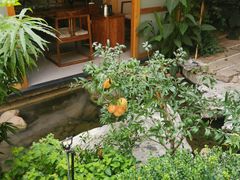 -绣园·茶食宴(湘绣博物馆店)