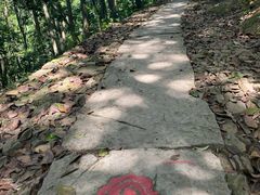 -西湖风景区十里琅珰-五云山