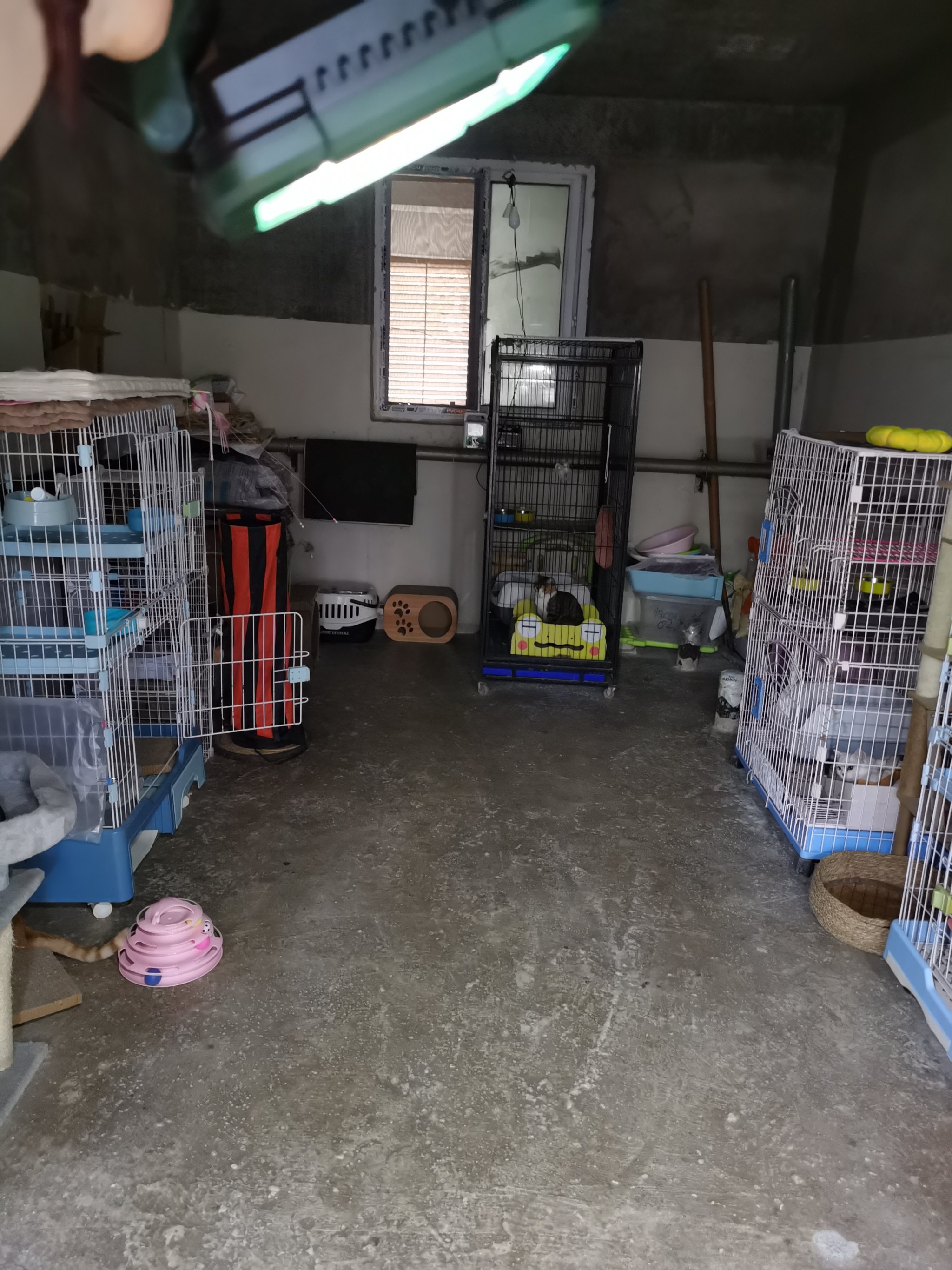 为小黑屋带来了光!