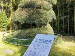 -苏州河梦清园环保主题公园