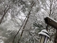 -天目湖涵田半山温泉