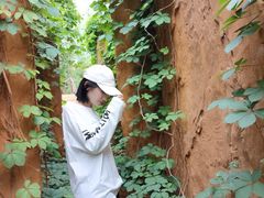 -微山湖红荷湿地景区