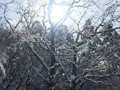 -终南山南五台景区