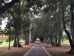 -墨尔本皇家植物园