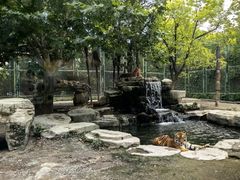 -上海野生动物园