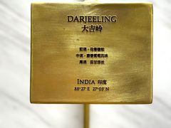 -CHARLIETOWN红茶公司(南京万象天地店)