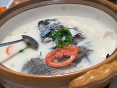 -全乐鱼馆·淳牌有机鱼直营店