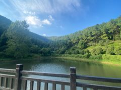 -九龙潭景区