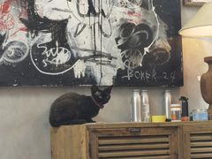 -nodcafe(M50创意园店)