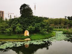 -映月湖公园