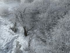 -太子岭滑雪场